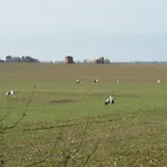 - Uns Luett Huesung By Interhome * Glambeck (Oberhavel)