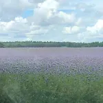 - Uns Luett Huesung By Interhome * Glambeck (Oberhavel)