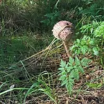 Сasa de vacaciones - Uns Luett Huesung By Interhome Glambeck (Oberhavel)