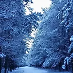 - Uns Luett Huesung By Interhome *