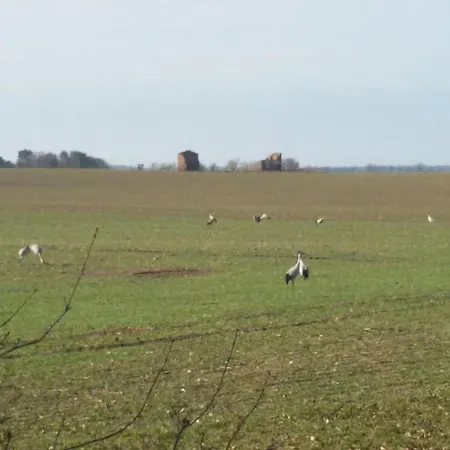 - Uns Luett Huesung By Interhome * Glambeck (Oberhavel)