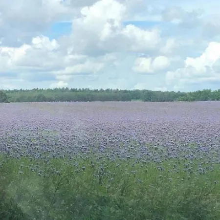 - Uns Luett Huesung By Interhome * Glambeck (Oberhavel)