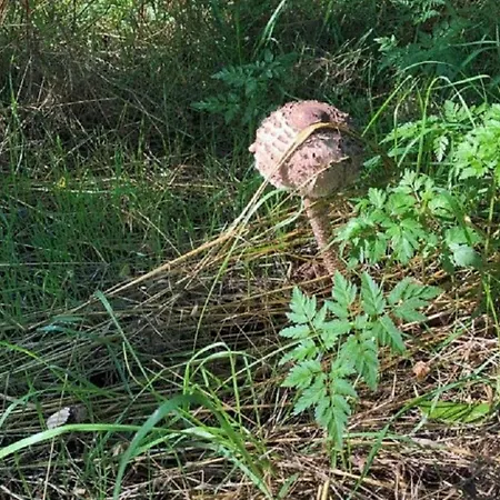 Holiday home - Uns Luett Huesung By Interhome Glambeck (Oberhavel)