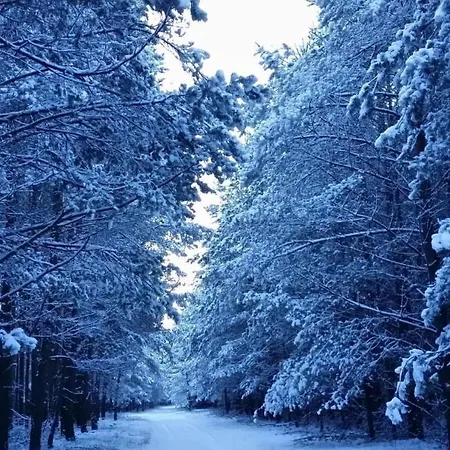 - Uns Luett Huesung By Interhome *