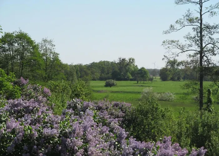 - Uns Luett Huesung By Interhome Holiday home