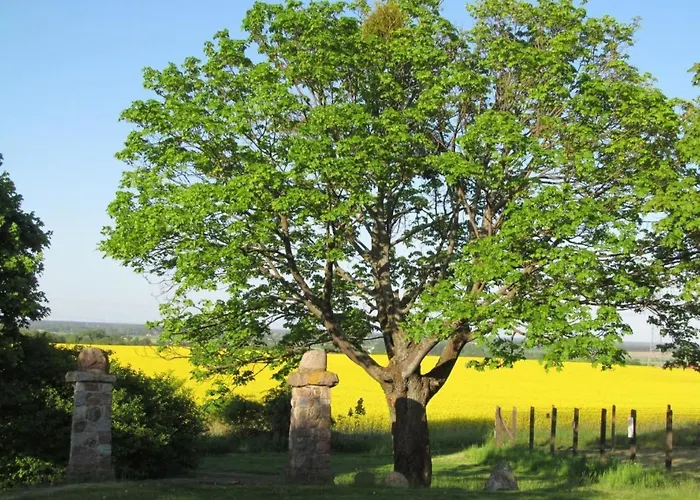 - Uns Luett Huesung By Interhome