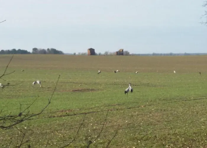 - Uns Luett Huesung By Interhome * Glambeck (Oberhavel)