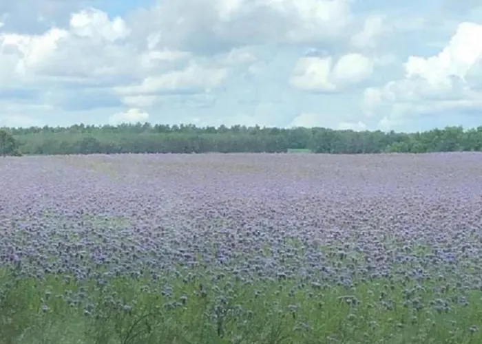 - Uns Luett Huesung By Interhome * Glambeck (Oberhavel)