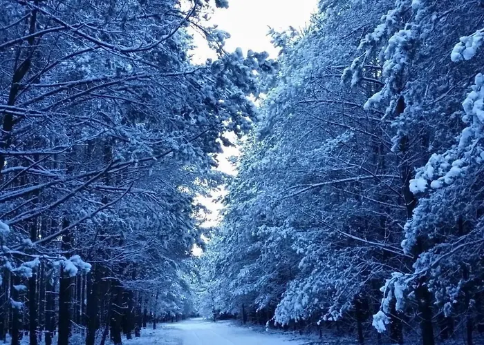 - Uns Luett Huesung By Interhome *